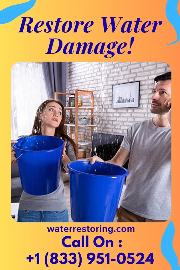 water restoration Guardian Flood Cleanup Services Paradise Heights