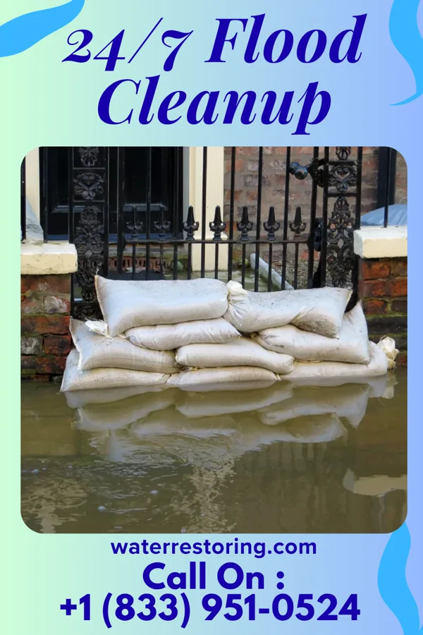 24/7 Flood Cleanup in Paradise Heights, FL