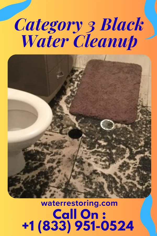 Category 3 Black Water Cleanup in Paradise Heights, FL