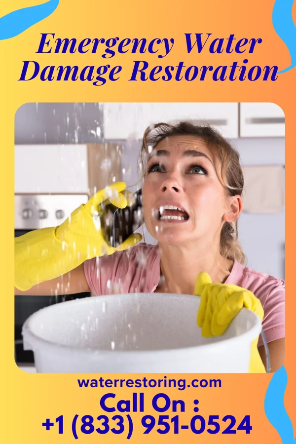 Emergency Water Damage Restoration in Paradise Heights, FL