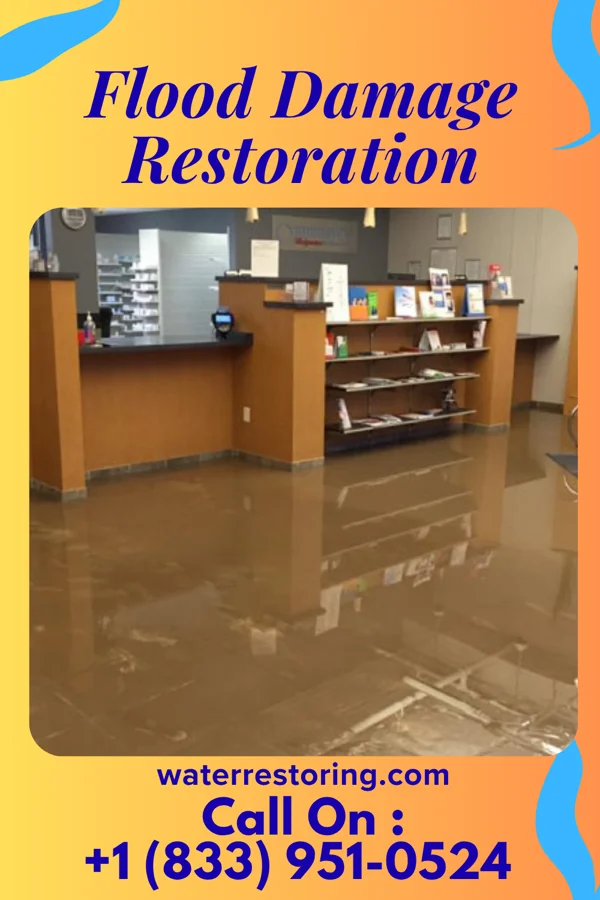 Flood Damage Restoration in Paradise Heights, FL