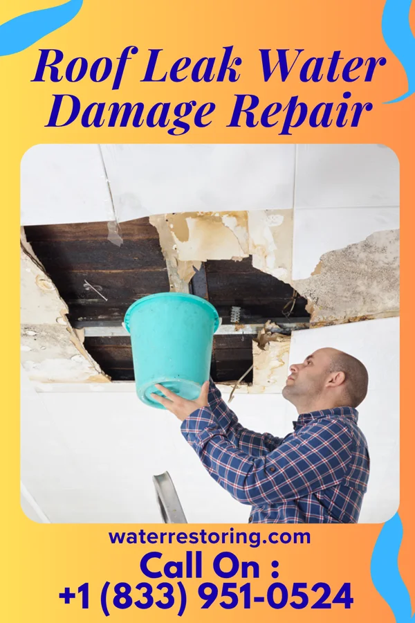 Roof Leak Water Damage Repair in Paradise Heights, FL