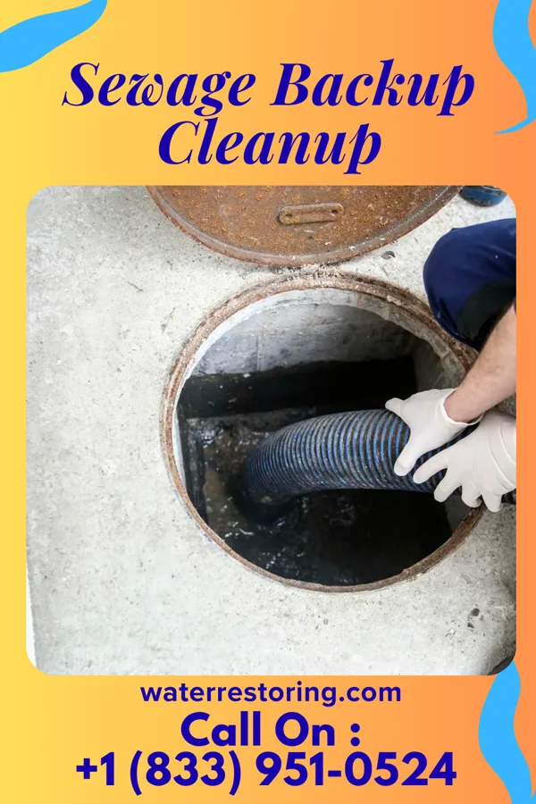 Sewage Backup Cleanup in Paradise Heights, FL